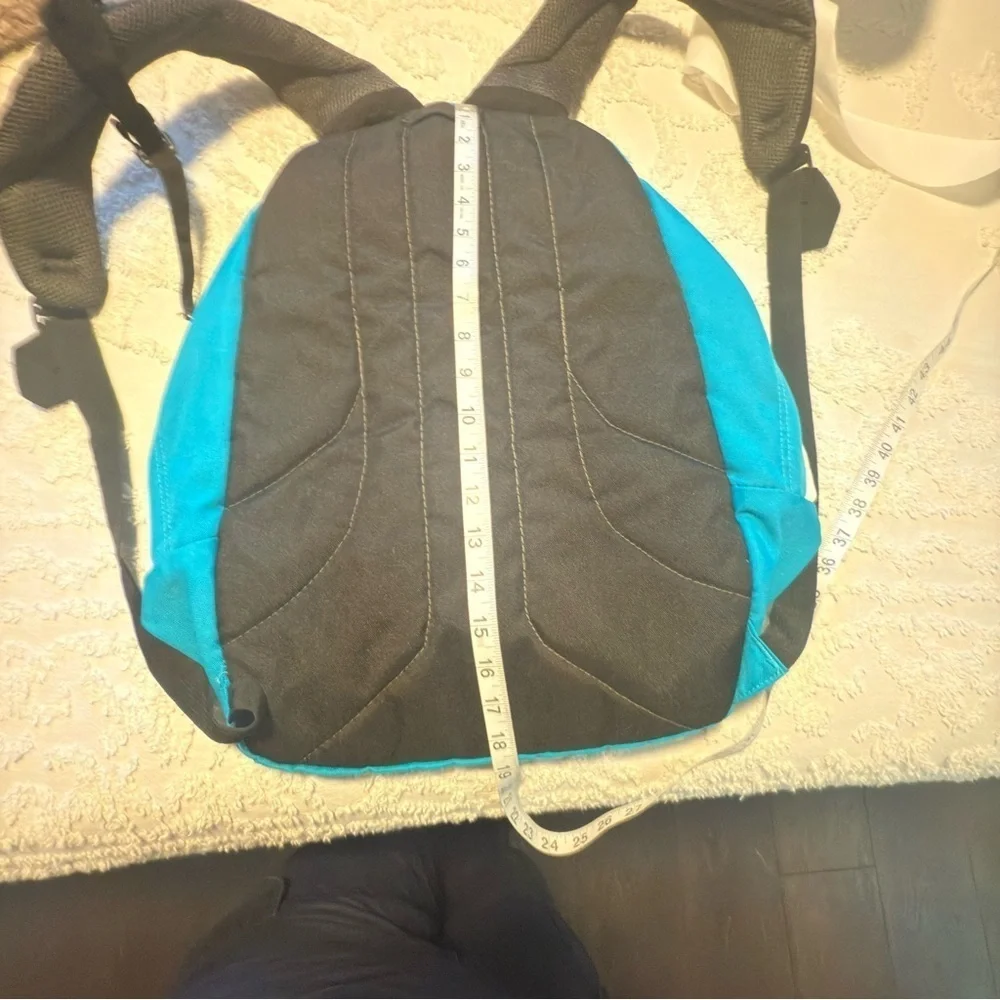 JanSport Blue and White Backpack